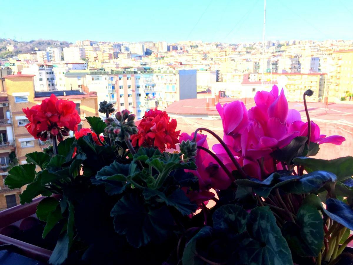 Suite Delicia Apartment - Appartamento Con Terrazza Napoli Eksteriør billede